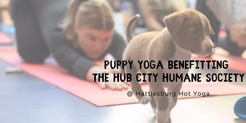 Puppy Yoga benefitting the Hub City Humane Society