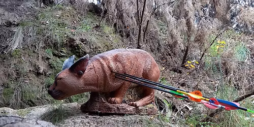 2026 Canterbury Champs