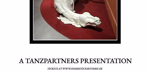 Tanzpartners - Domestic Partners Headline