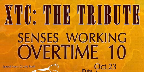 XTC: The Tribute \/\/ Senses Working Overtime 10