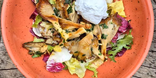 Farm\u00e1\u0159sk\u00e9 trhy na n\u00e1m\u011bst\u00ed a brunch na koup\u00e1ku