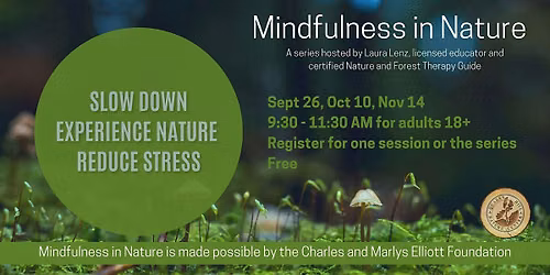 Mindfulness in Nature (Adults 18+)