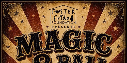 Foster Friday Foundation Fundraiser: Magic 8 Ball
