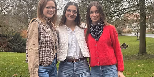 La flamande gourmande 