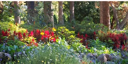 Cathie English at Art in the Gardens Munsinger Clemens Gardens