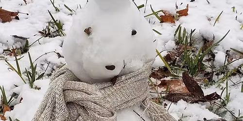 The Great Burnmas Bash 2025