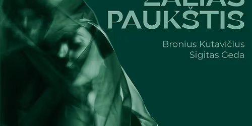 Strazdas - \u017ealias pauk\u0161tis