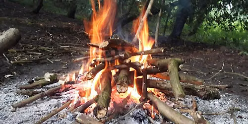 Family Bushcraft & Woodland Skills (8+)