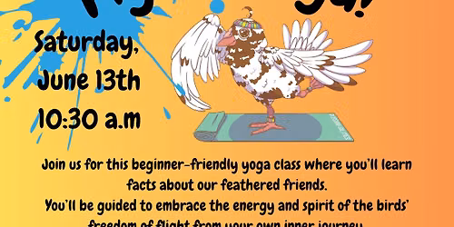 PIGEON YOGA!!!