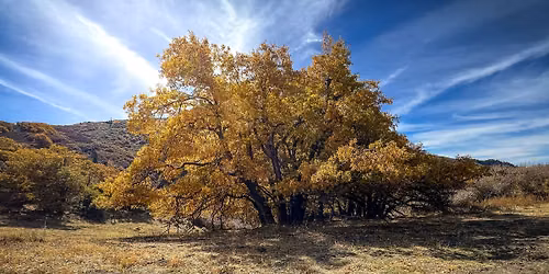 Fall Colors Tour