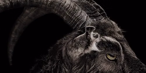 Fright-Tober: The VVitch