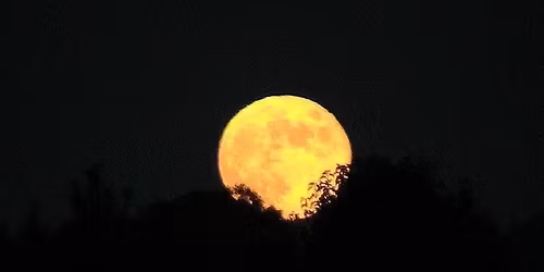 Full Moon Friday Hike