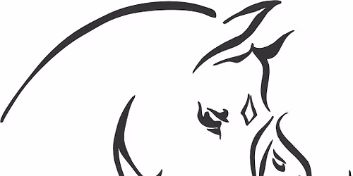 Black Beauty Classic 2026 USEF USDF Dressage Show