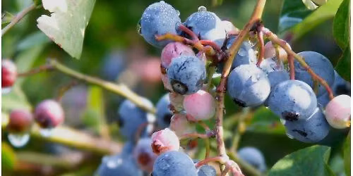 Free Mini-Workshop: Saturday Spotlight