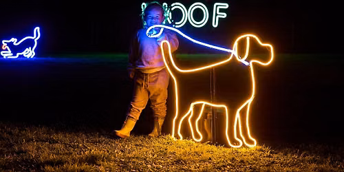 Illuminate Paws Walk