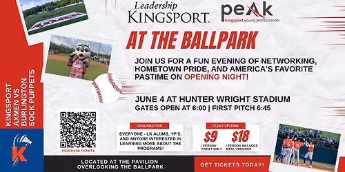 Leadership Kingsport and PEAK Young Professionals At the Ballpark