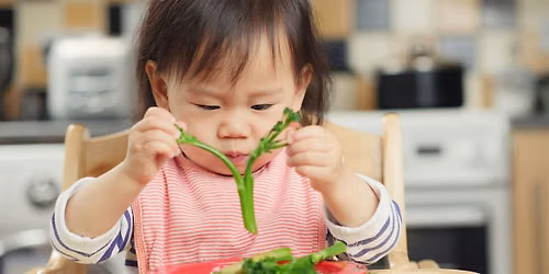 Introduction to Solid Foods Workshop, 09:30 - 11:00, 04\/09\/2026