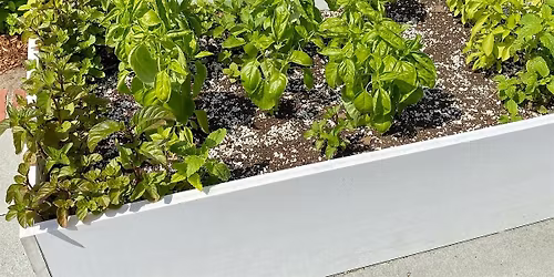 Herb Window Basket Class at the Chatham Bars Inn Farm
