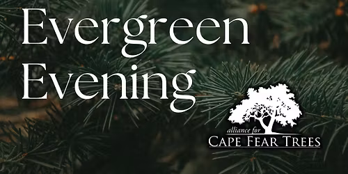 Evergreen Evening