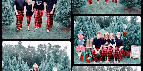 Booth Christmas tree farm minis \ud83c\udf84