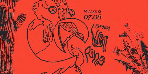 (spoko) Kunstiring 6
