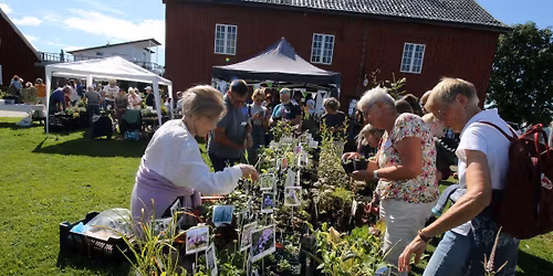 Staudeklubbens hagemarked 