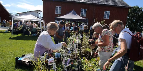Staudeklubbens hagemarked