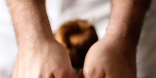 EMBER & EARTH - RESET BY DESIGN RETREAT - May 15-17