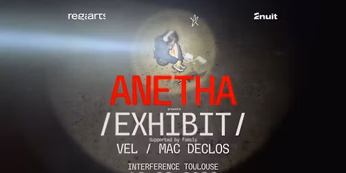 ANETHA presents EXHIBIT \u2022 Interference