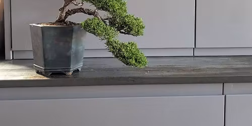 Shohin workshop with Morten Albek