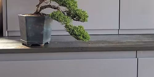 Shohin workshop with Morten Albek