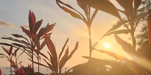 Solar Plexus Workshop - Commit and Transform