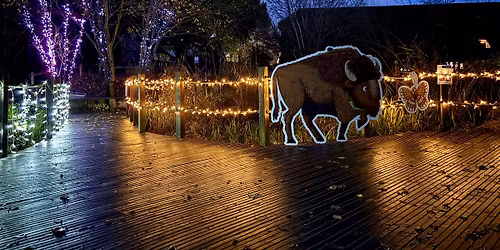 Family Event: A Wilder Christmas at Tyland Barn