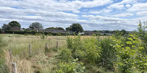 Caring for your Tiny Forest - Fawdon