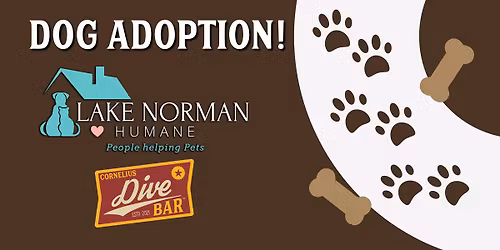 Dog Adoption!