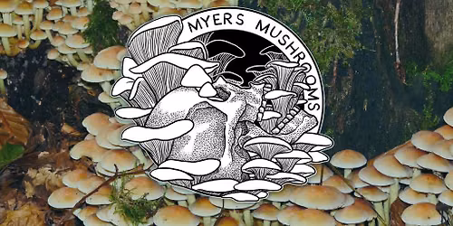 Peacefully Planted: Wine Cap Mushroom Inoculation with Myers Mushrooms