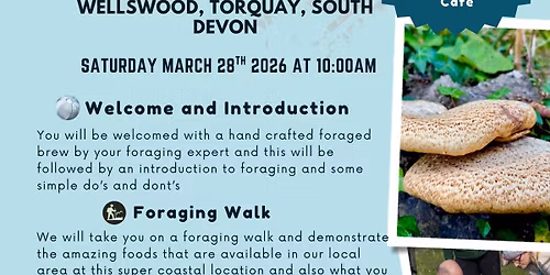 Rigsbys Foraging Experience at Ansteys Cove Beach Cafe