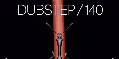 Saturdays at Amber's: Dubstep | 140