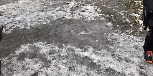 2Dogs- Nytt\u00e5rsflokktur