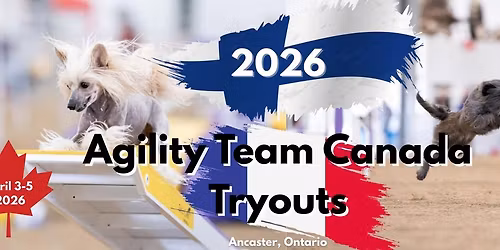 2026 Agility Team Canada Tryouts