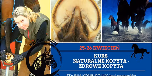 Kurs "Naturalne Kopyta - Zdrowe Kopyta" Stajnia KONIK POLNY 25-26 KWIECIE\u0143 woj. pomorskie, obok Rewy