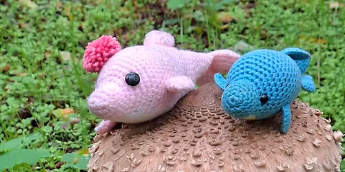 DEL walk 2026 spring