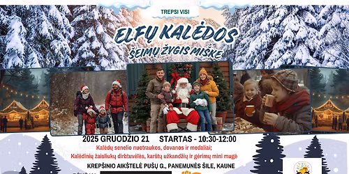 Elf\u0173 Kal\u0117dos mi\u0161ke - \u017eygis, \u017eaisliuk\u0173 gamyba ir dovanos i\u0161 Kal\u0117d\u0173 Senelio