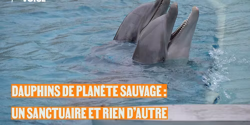 Nantes - Mobilisons-nous contre la captivit\u00e9