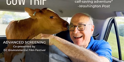 "Cow Trip" Advanced Screening + Filmmaker Panel - FREE