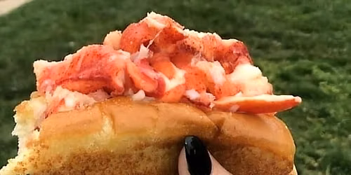 Lobster Dogs at Papa Robb's Paradise Ice-CONCORD