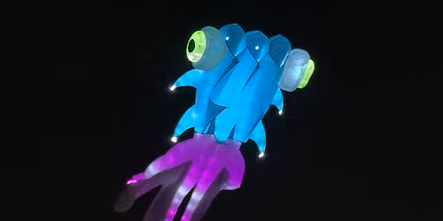 Surfside Beach Christmas Night Kites