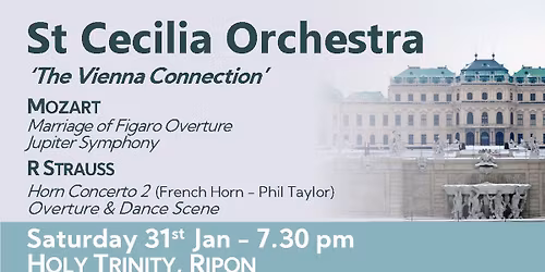 The Vienna Connection