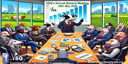 VSQ's AGM 2026