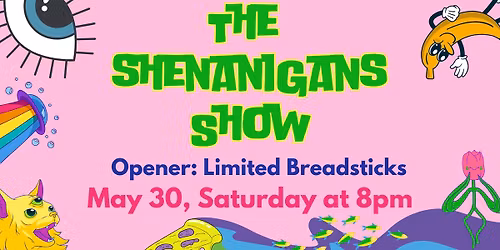 The Shenanigans Show